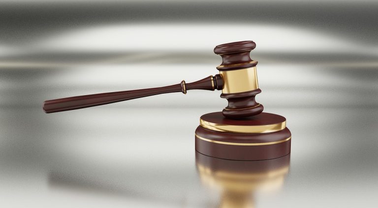 OS LIMITES DA EXEQUIBILIDADE DA PROPOSTA APRESENTADA EM LICITAÇÃO