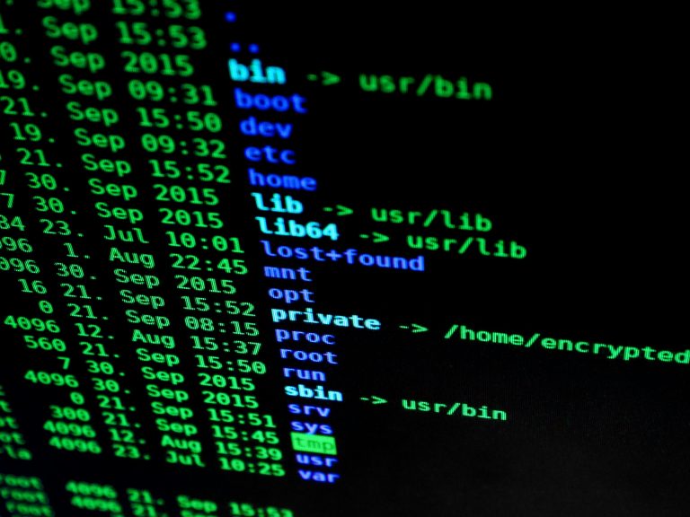 Introdução: A Era da Vulnerabilidade Compartilhada