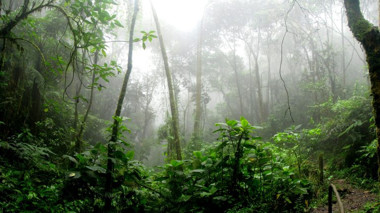 Mobilização “Amazônia Mais Digital e Menos Desigual” é lançada durante reunião do Conselhão